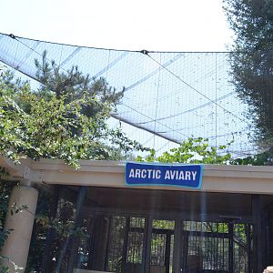 Arctic Aviary - Northern Frontier