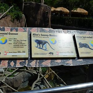 Mixed Species Signage - Lost Forest
