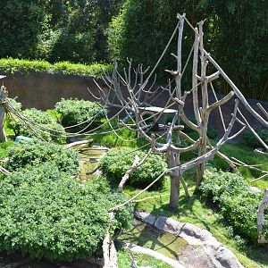 Mixed Otter/Monkey Habitat - Lost Forest