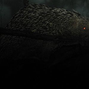 Monkey House- Prehensile-Tailed Porcupine