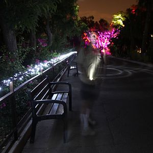 night zoo, august 11, 2012