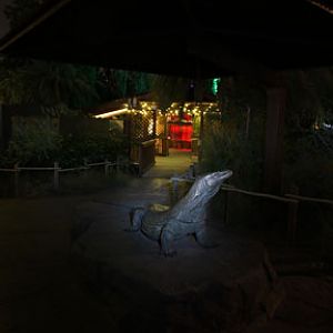 night zoo, august 11, 2012