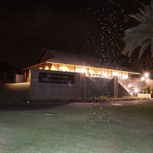 night zoo, august 11, 2012