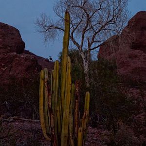 night zoo, august 11, 2012