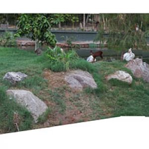 night zoo, august 11, 2012