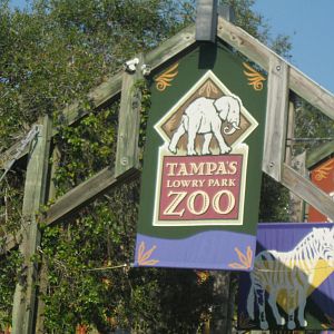 Tampa's Lowry Park Zoo Entry