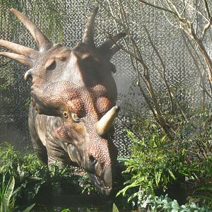 Styracosaurus