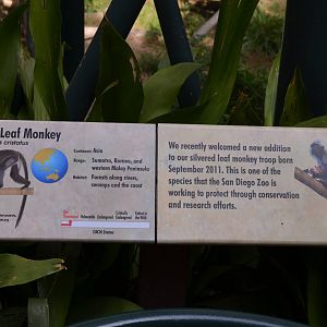 Silvered Leaf Monkey Signage