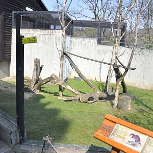 Enclosure for cubian hutias (Capromys pilorides)
