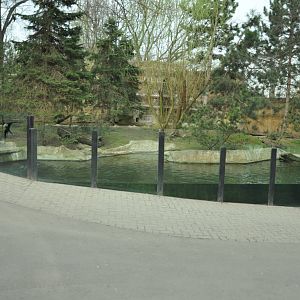 Enclosure for Canadian otter (Lontra canadensis)