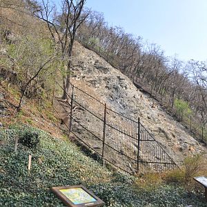 High mountains enclosure for himalayan tahr (Hemitragus jemlahicus)