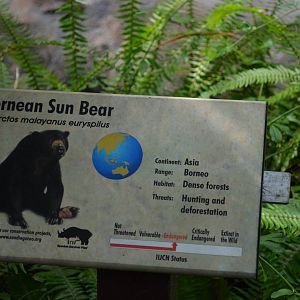 Bornean Sun Bear Signage