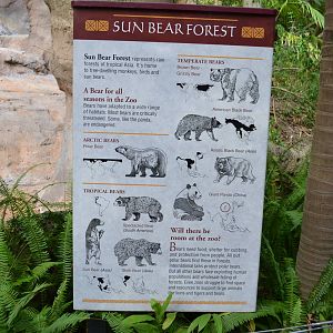 Sun Bear Signage
