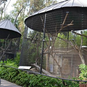Primate Enclosures