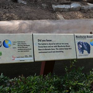 Brown/Grizzly Bear Signage