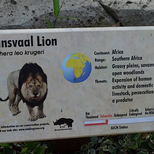 Transvaal Lion Signage