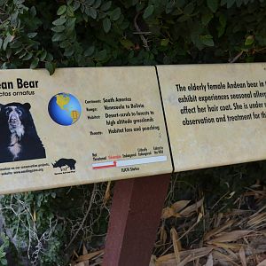 Andean(Spectacled) Bear Signage