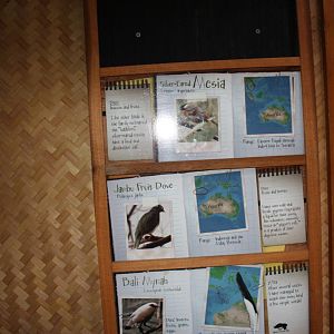 Australasia- Bird Signage