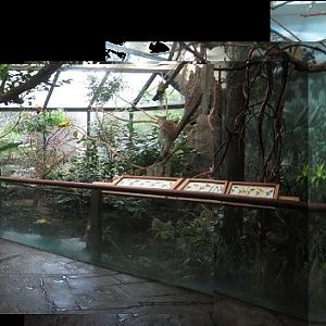 Aug. 2012-South America atrium panorama