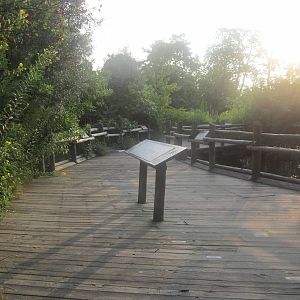 Aug. 2012-Wetland Trail