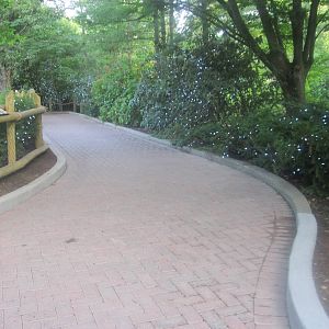 Aug. 2012-Getting Ready for the Festival of Lights