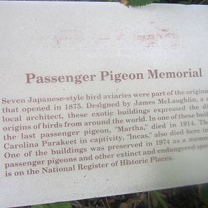 Aug. 2012-Passenger Pigeon sign