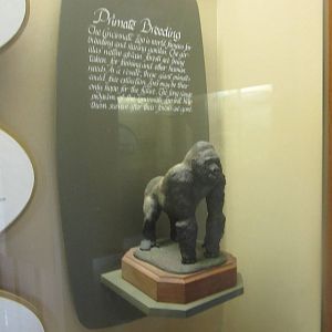 Aug. 2012-Passenger Pigeon Memorial