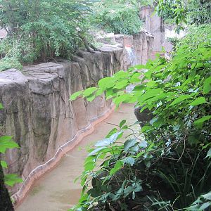 Aug. 2012-Western Lowland Gorilla exhibit moat