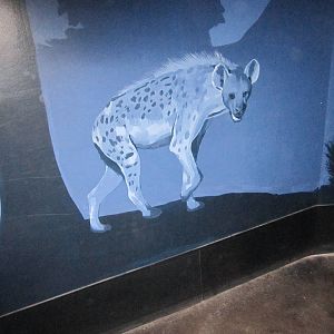 Aug. 2012-Spotted Hyena painting