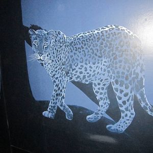 Aug. 2012-Jaguar painting