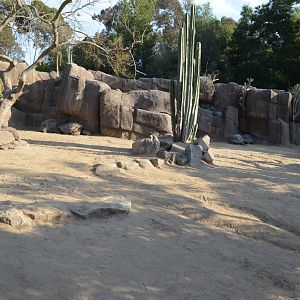 Galapagos Tortoise Yard
