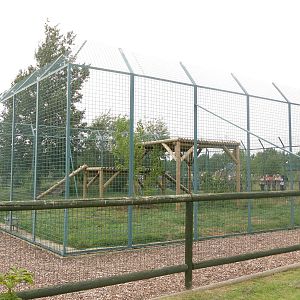 Siberian Tiger Exhibit