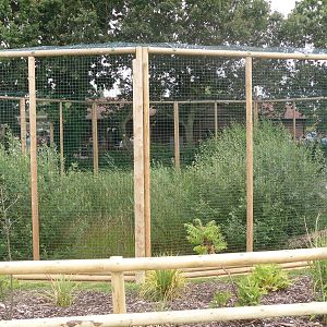 New Fishing Cat Exhibit