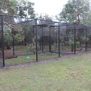 New aviaries for parrots and bowerbirds