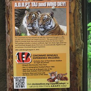 Aug. 2012-ADOPT Taj and Who-Dey sign