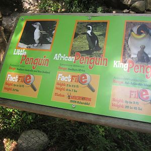 Aug. 2012-Penguin sign