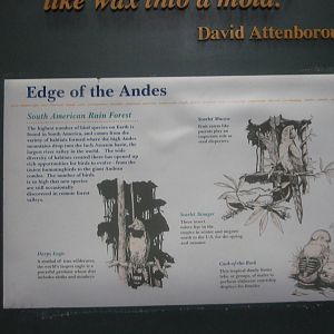 Aug. 2012-South America atrium sign