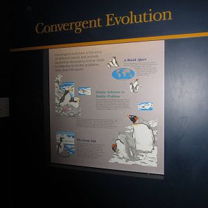 Aug. 2012-Arctic Sea Cliff sign