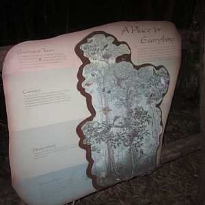 Aug. 2012-Jungle Trails sign