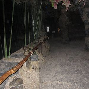 Aug. 2012-Aye-Aye/Grey Bamboo Lemur/Potto exhibit viewing