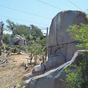 California Condor Aviary