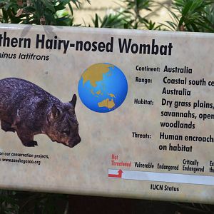 Southern Hairy-nosed Wombat Signage