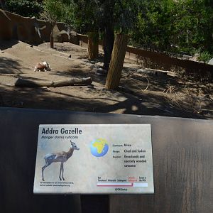 Addra Gazelle Yard and Signage