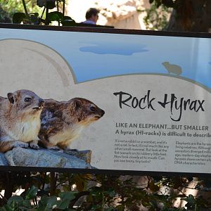 Rock Hyrax Signage
