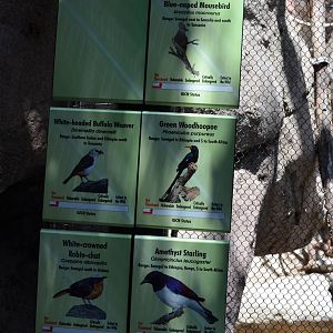 Kopje Aviary Signage