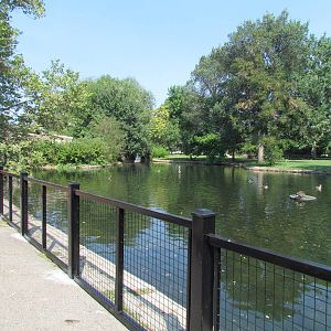 New Railing Alongside the Lagoon