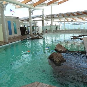 Marine Mammal Center