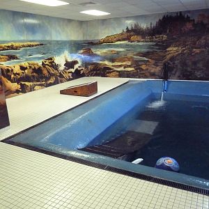 Harbour Seal Exhibit - Upper Viewing Area