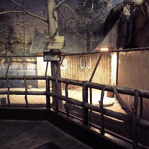 Gator Alley - Orinoco Crocodile Exhibit