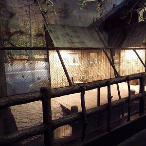 Gator Alley - Orinoco Crocodile Exhibit